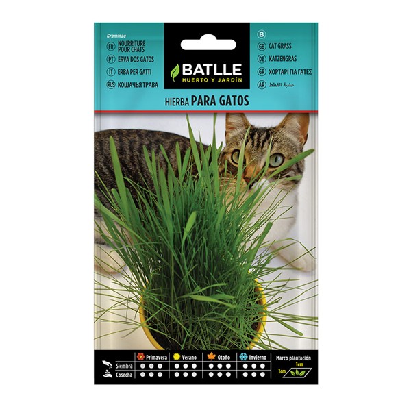 SEMILLAS HIERBA PARA GATOS 10 BOL