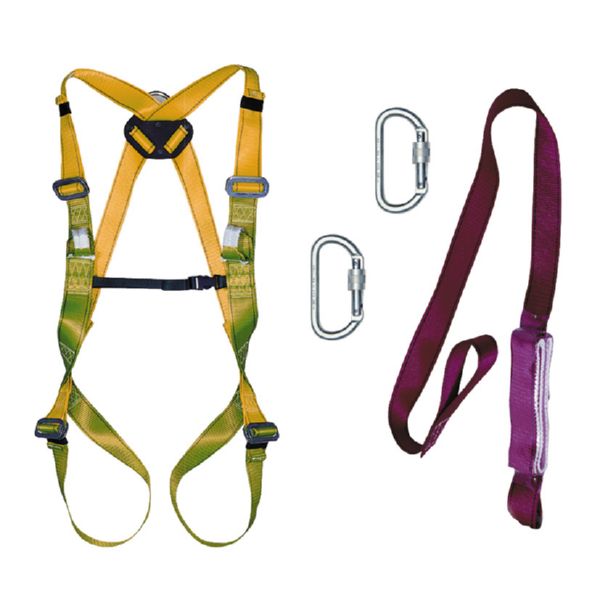 ARNES 2PUNTOS ANCLAJE DORSAL ECOSAFEX 7 pONSA