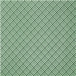 MOSQ.PLAST.100CM.VERDE 50M.INTERMAS